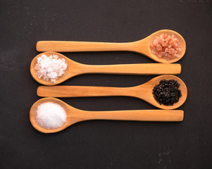 Wooden spoons with himalayan salt, black hawaii salt, common salt and salt flakes on a slate plate