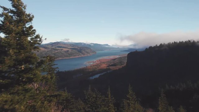 Aerial drone shot of the Columbia River Gorge on a beautiful morning sweeping past evergreen trees into a vast wide angle view into the canyons