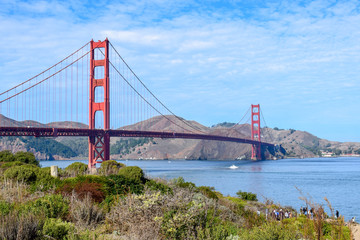 Fototapeta na wymiar Golden Gate Bridge in Clear Blue Sky with Nature in the Foreground