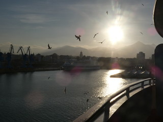 Dal Porto di Palermo