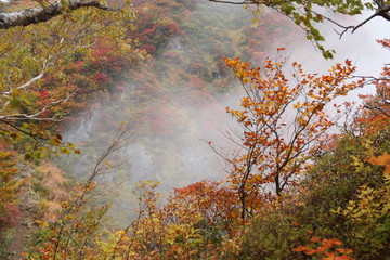 朝日連峰の秋　霧と小朝日岳の紅葉