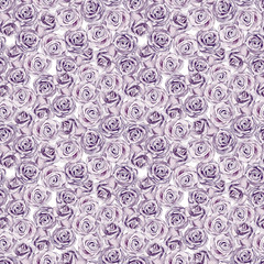 Watercolor hand painted botany gentle purple roses blossom illustration seamless pattern
