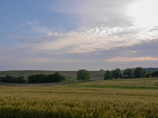 Dramatic sky over beautiful field of wheat