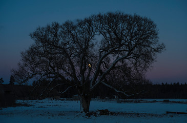 Fototapeta na wymiar Winter evening landscape with moon