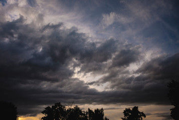 Moody Sky over trees