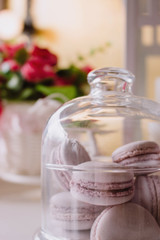 Pink french macarons under the glass on the wooden boards, soft focus background