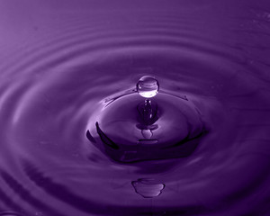 Gota