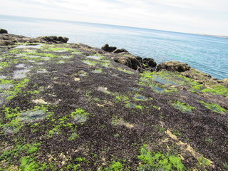 marea baja