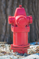 Red fire hydrant in winter surrounded by ice with a big tree in the background