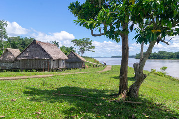 Naklejka na ściany i meble Village in the Amazon jungle Amazonian village in the jungle in Peru. Typical buildings in the jungle. Tropical tree and the Napo River. Houses from trees
