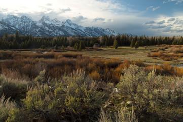 Spring in Jackson Hole;  Grand Teton NP;  Wyoming