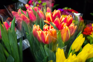 Several bouquets of tulips for sale at the market