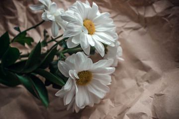 White Chrysanthemum flowers in brown craft paper on a white table. Golden-daisy bouquet on blurred background with bokeh