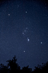 Fototapeta na wymiar オリオン座とM42星雲 Orion and M42 nebula