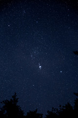 オリオン座とM42星雲 Orion and M42 nebula