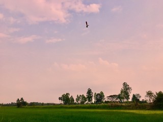 Always beautiful nature