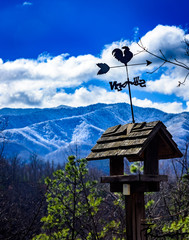 bird house in the mountains