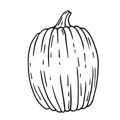 Isolated line image of pumpkin