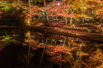 Night view of autumn leaves in the traditional park. Aichi, Japan