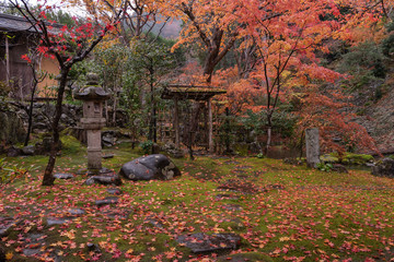 Japanese traditional garden in autumn