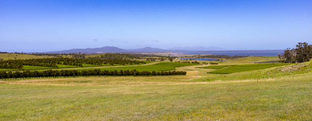 Tasmania landscape mountains water vines