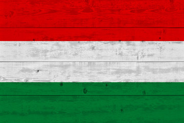 hungary flag painted on old wood plank