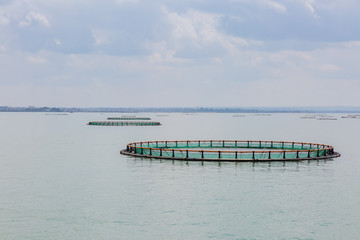 Fototapeta premium 養殖生簀