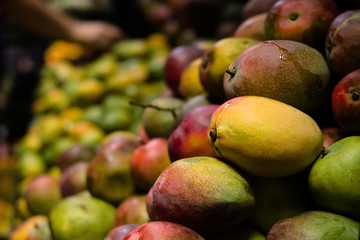 Ripe mango a tropical fruit.