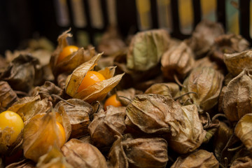 Fresh and ripe gooseberries-Golden berry