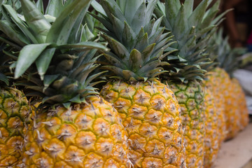 Mature and fresh pineapples.
