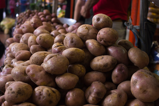 Whole potatoes in pile