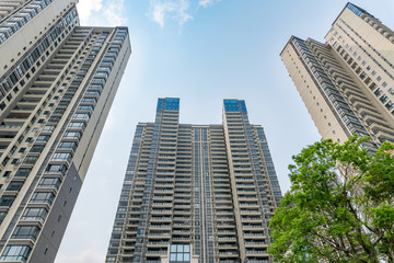 Fototapeta premium Buildings in Zhanjiang City
