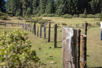 Fototapeta premium cabaña