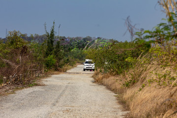 big white vehicle on a dusty dirt track bordered by tall bushes.