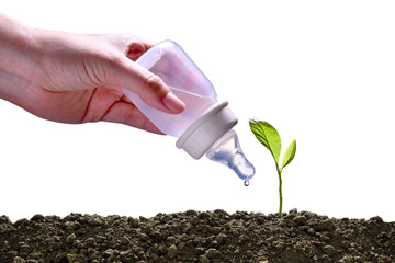 Concept image of young plant being cared for and watered by baby water bottle isolated on white background