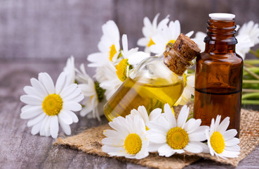 Essential oil in glass bottle with fresh chamomile flowers, beauty treatment.