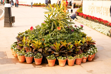 Colorful plantation near India Gate