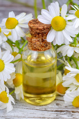 Obraz na płótnie Canvas Essential oil in glass bottle with fresh chamomile flowers, beauty treatment.