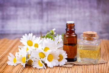 Essential oil in glass bottle with fresh chamomile flowers, beauty treatment.