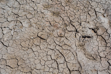 Cracking ground, Impact of climate change on climate change. Water shortages and droughts in the future.