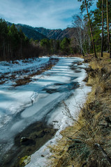 Spring nature of Altai Mountains