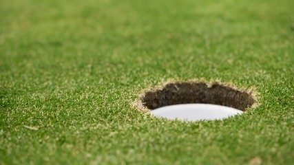A golf player missed the hole at first attempt, but he succeeded at second try and successfully hit the ball into the hole
