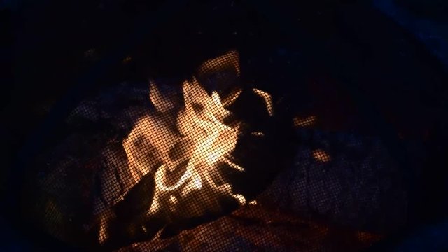 Burning Campire in a Fire Pit
