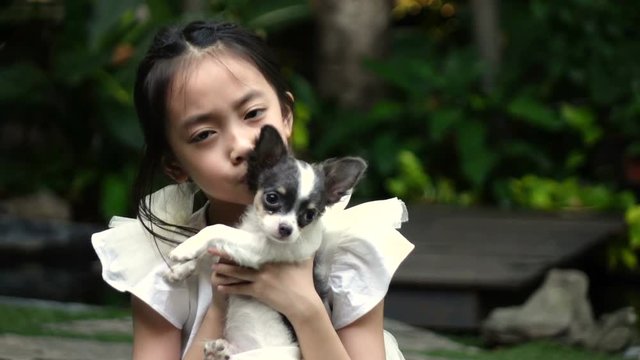 Slow motion shot of little girl and her chihuahua puppy