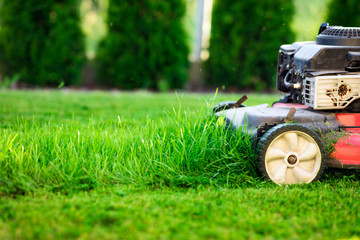 Lawn mower cutting green grass