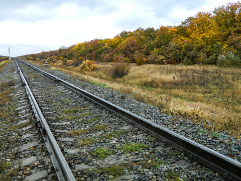 train, rail, railway, railroad, track, travel, transportation, tracks, road, steel, transport, way, landscape, rails, perspective, sky, line, journey, iron, parallel, direction, distance, horizon, nat