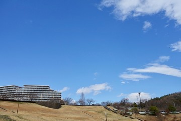 Obraz premium 早春の青空