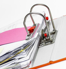 Ring binder with documents