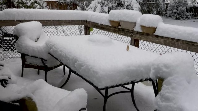 snow falling on picnic table with ruler measuring snowfall