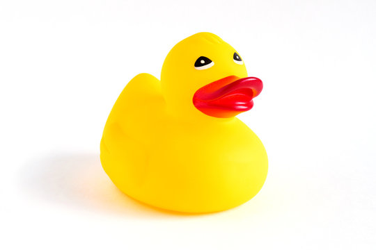 cute yellow rubber duck on white background